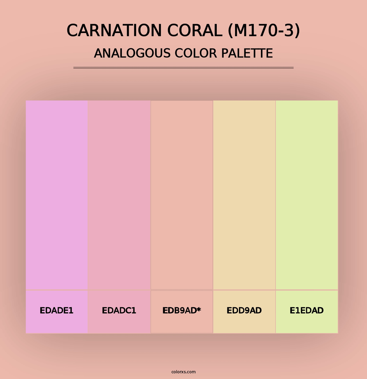 Carnation Coral (M170-3) - Analogous Color Palette