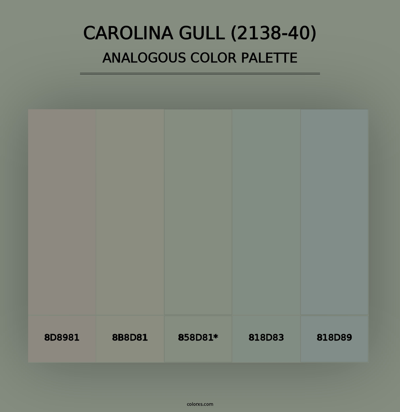 Carolina Gull (2138-40) - Analogous Color Palette