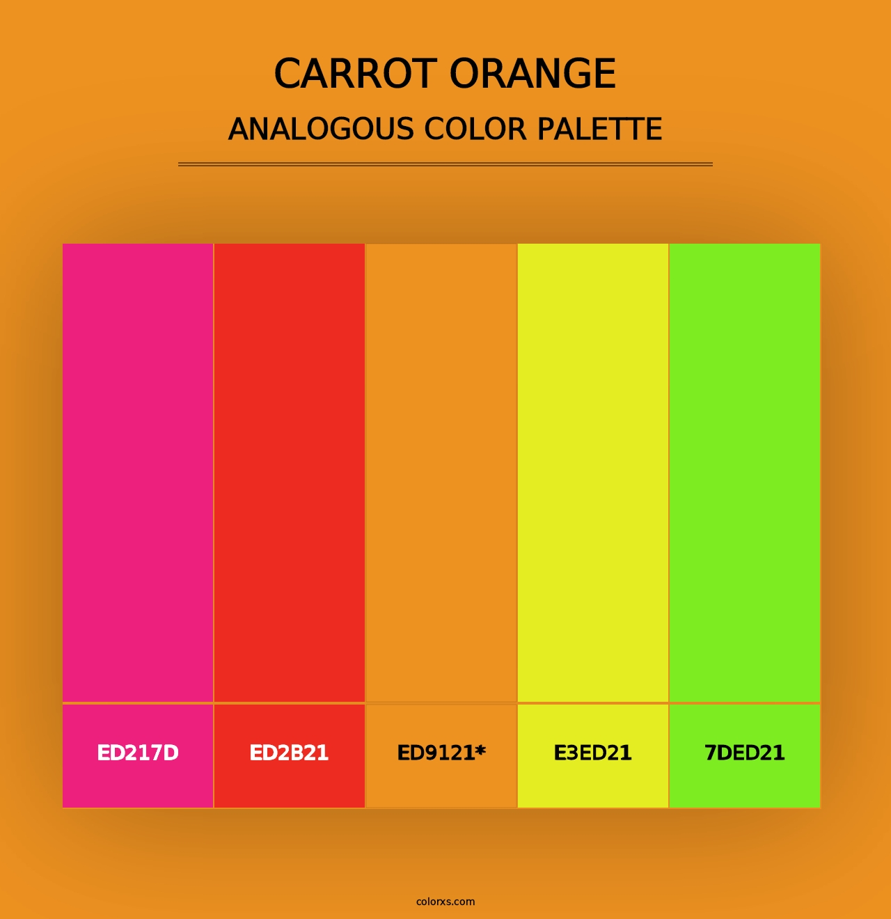 Carrot Orange - Analogous Color Palette