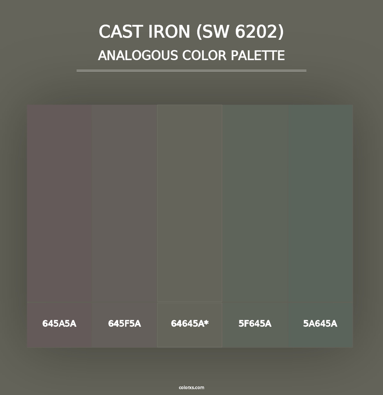 Cast Iron (SW 6202) - Analogous Color Palette