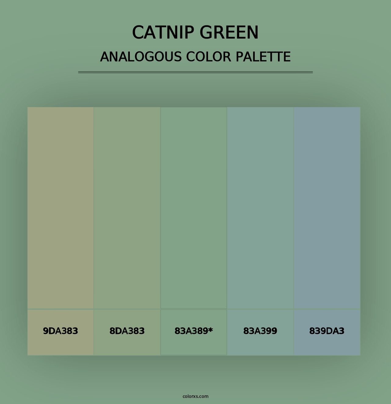 Catnip Green - Analogous Color Palette