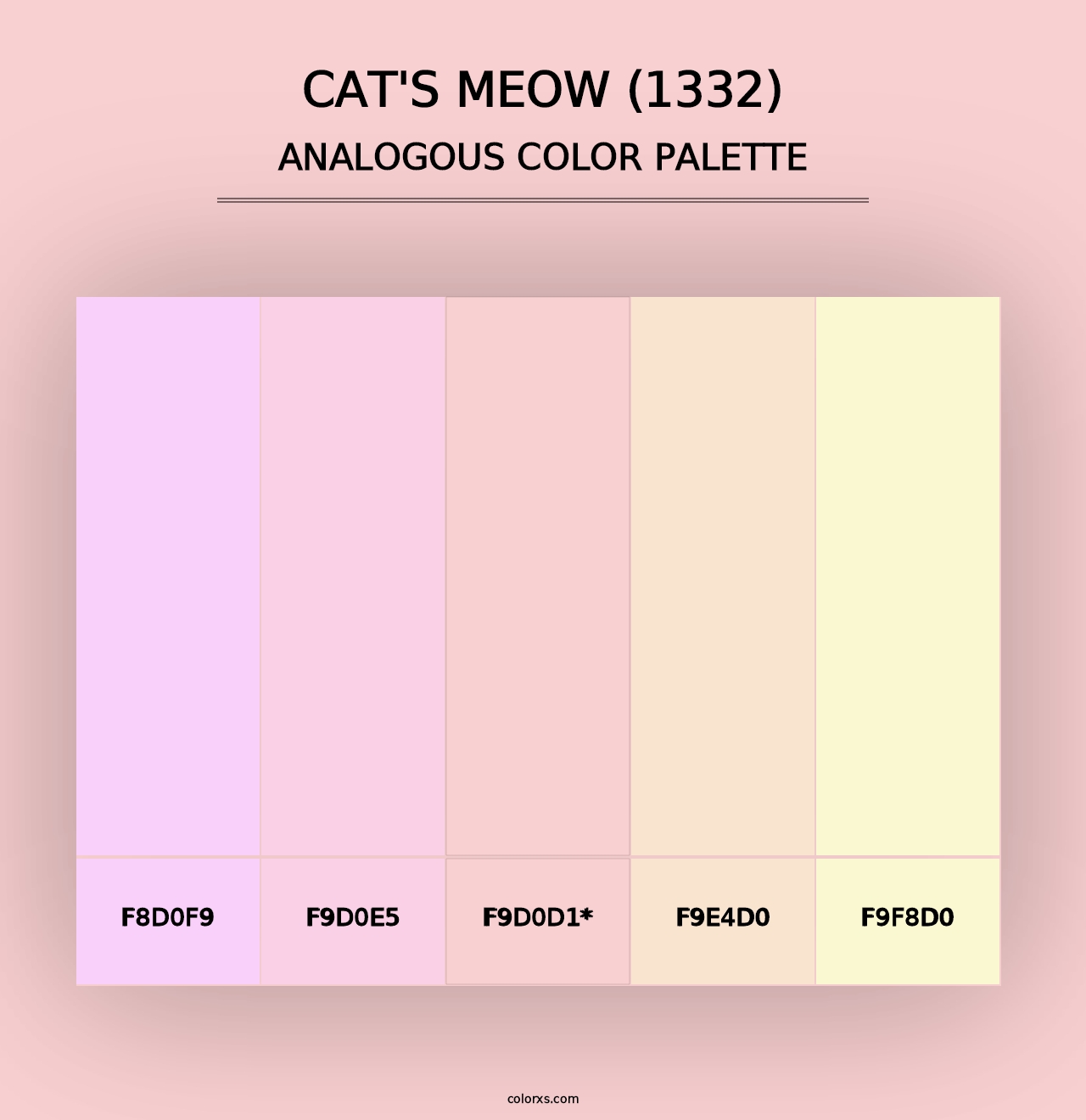 Cat's Meow (1332) - Analogous Color Palette