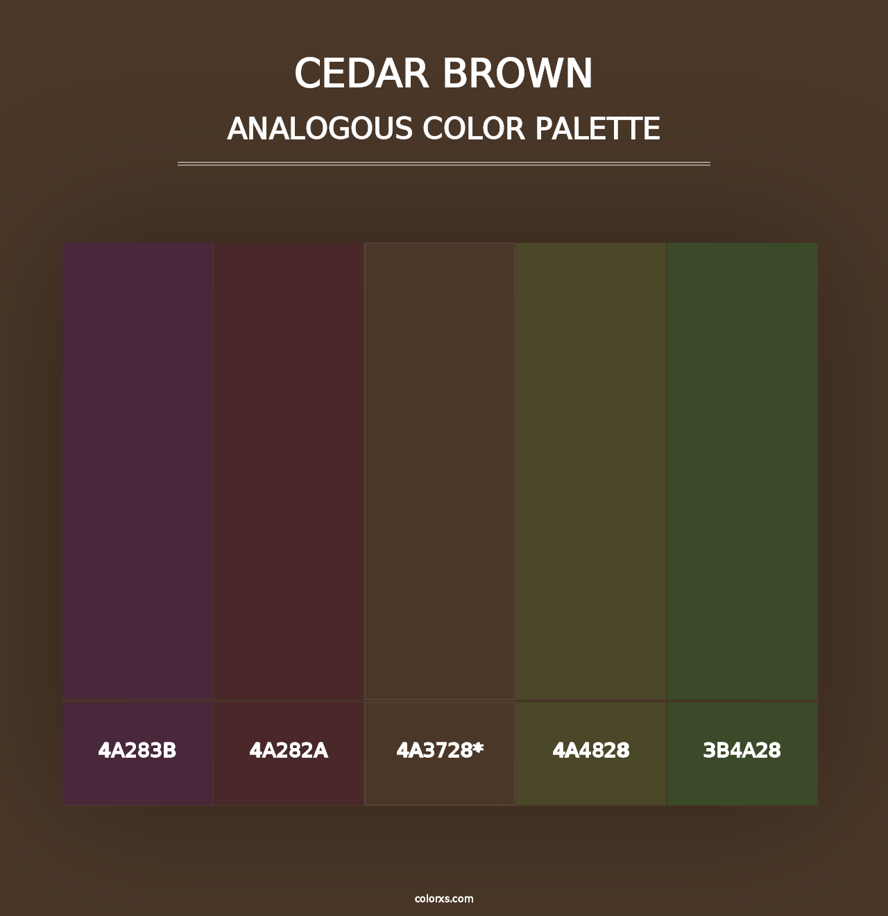 Cedar Brown - Analogous Color Palette