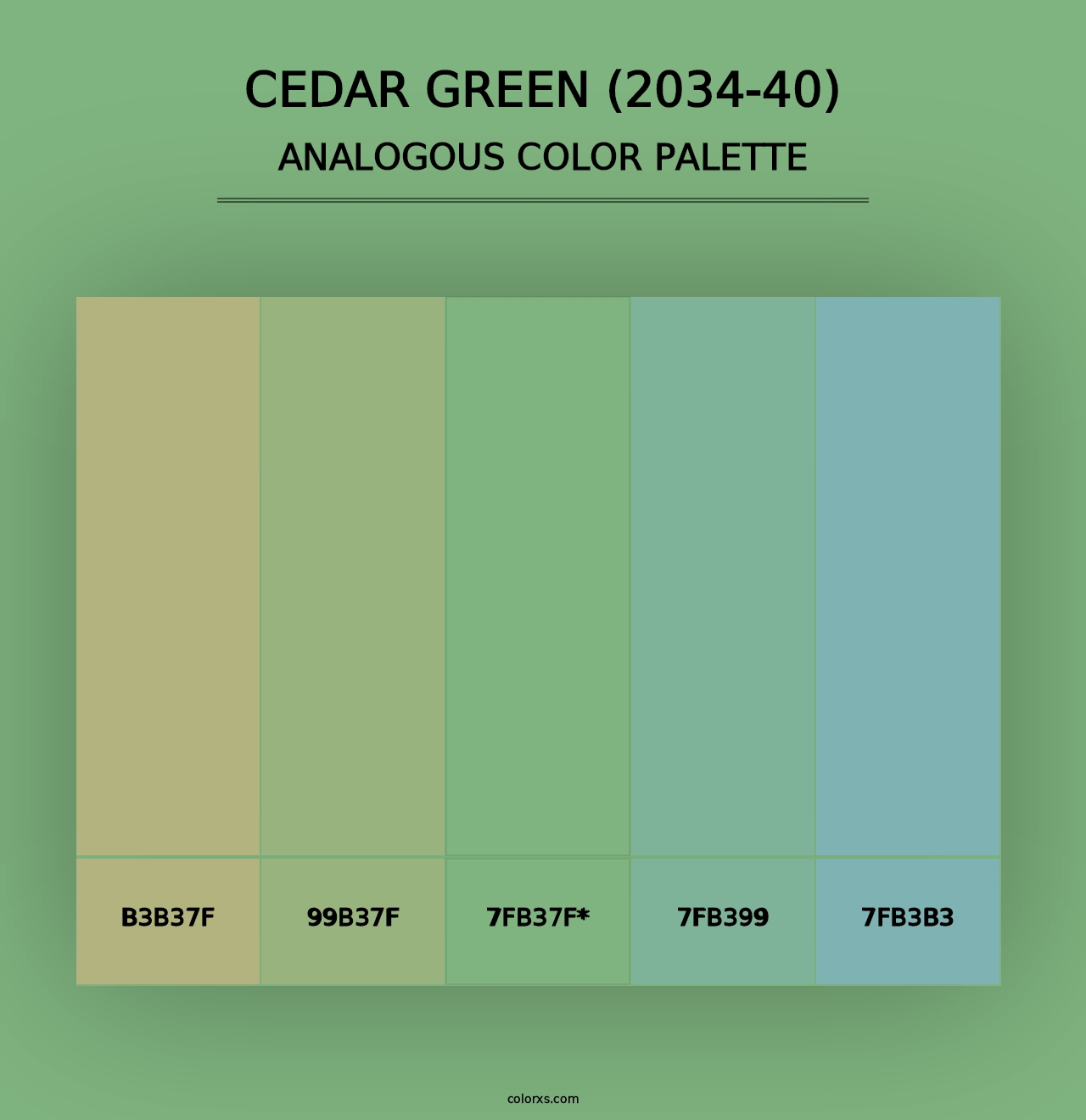 Cedar Green (2034-40) - Analogous Color Palette