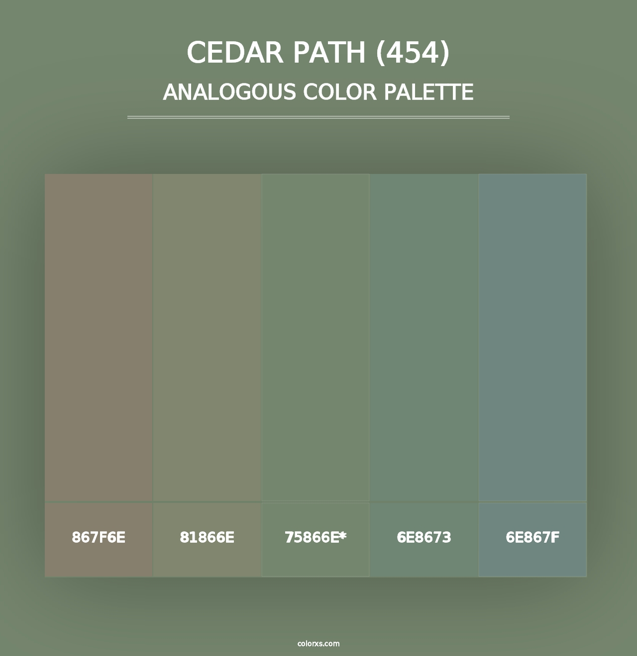 Cedar Path (454) - Analogous Color Palette