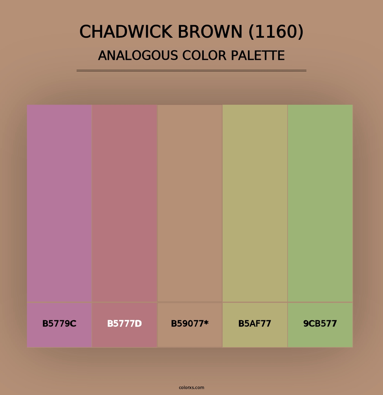 Chadwick Brown (1160) - Analogous Color Palette