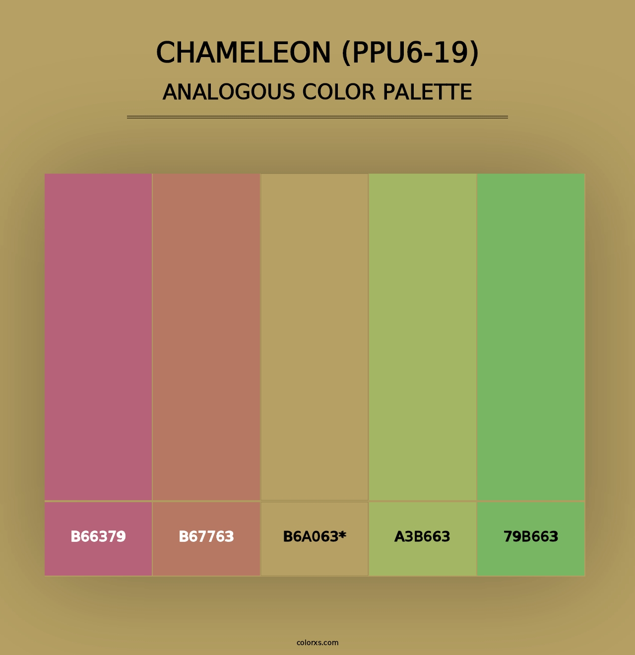 Chameleon (PPU6-19) - Analogous Color Palette