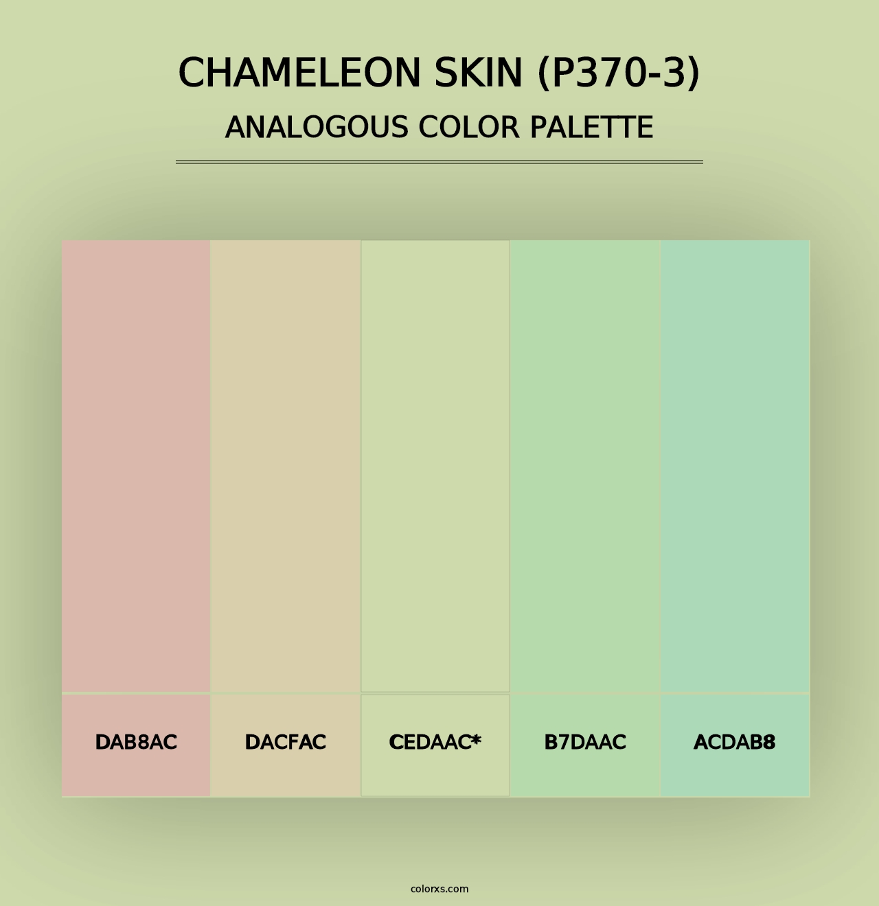 Chameleon Skin (P370-3) - Analogous Color Palette