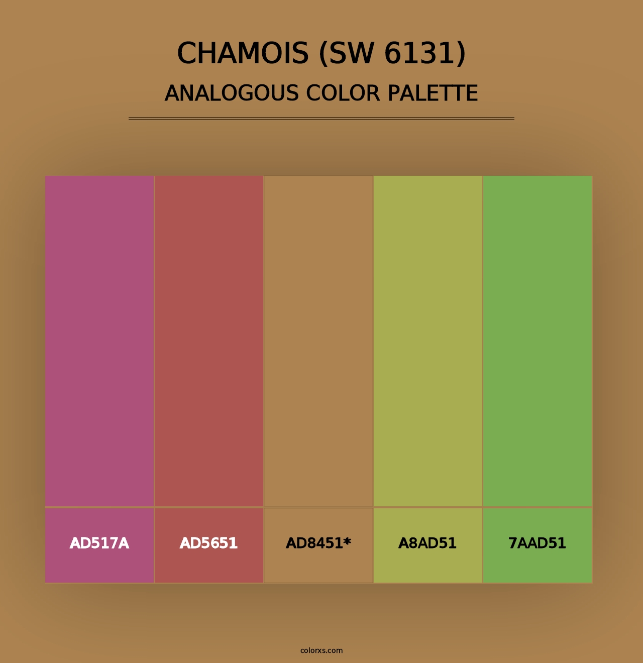 Chamois (SW 6131) - Analogous Color Palette