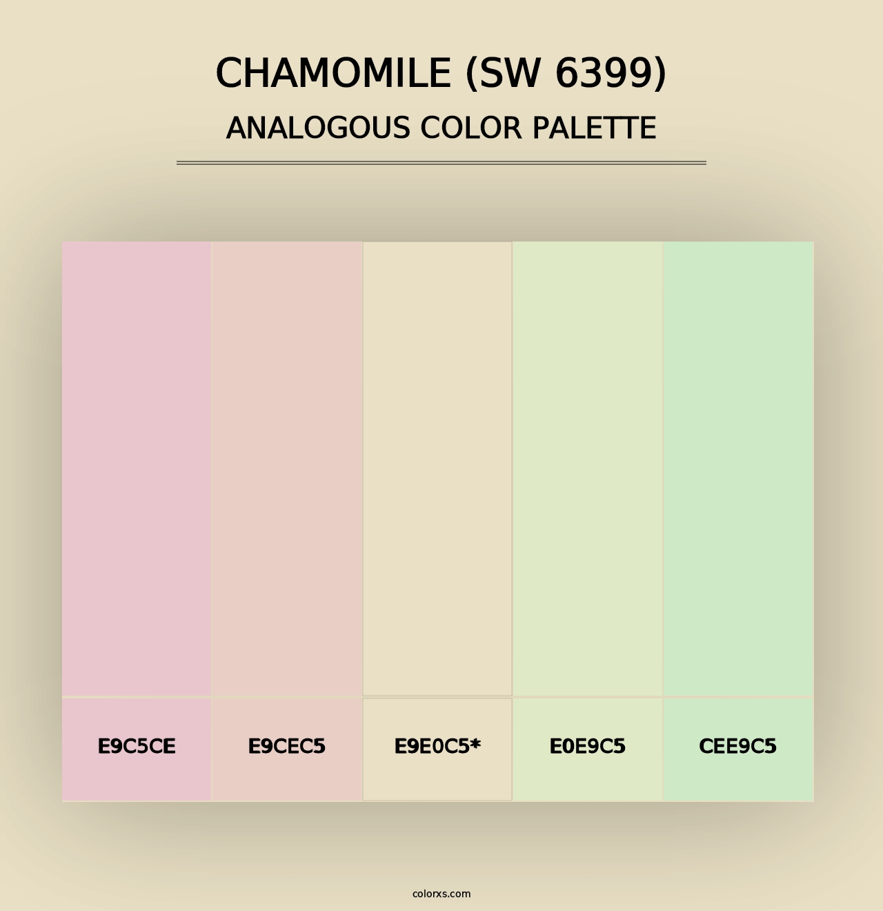 Chamomile (SW 6399) - Analogous Color Palette