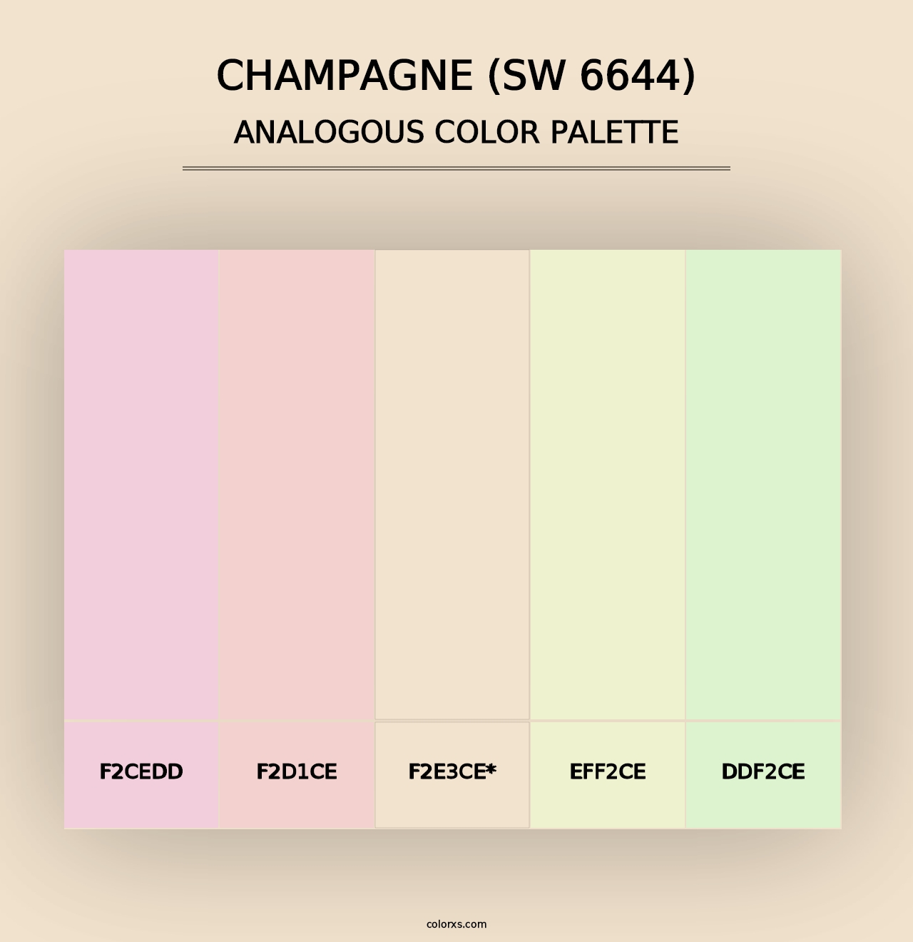 Champagne (SW 6644) - Analogous Color Palette