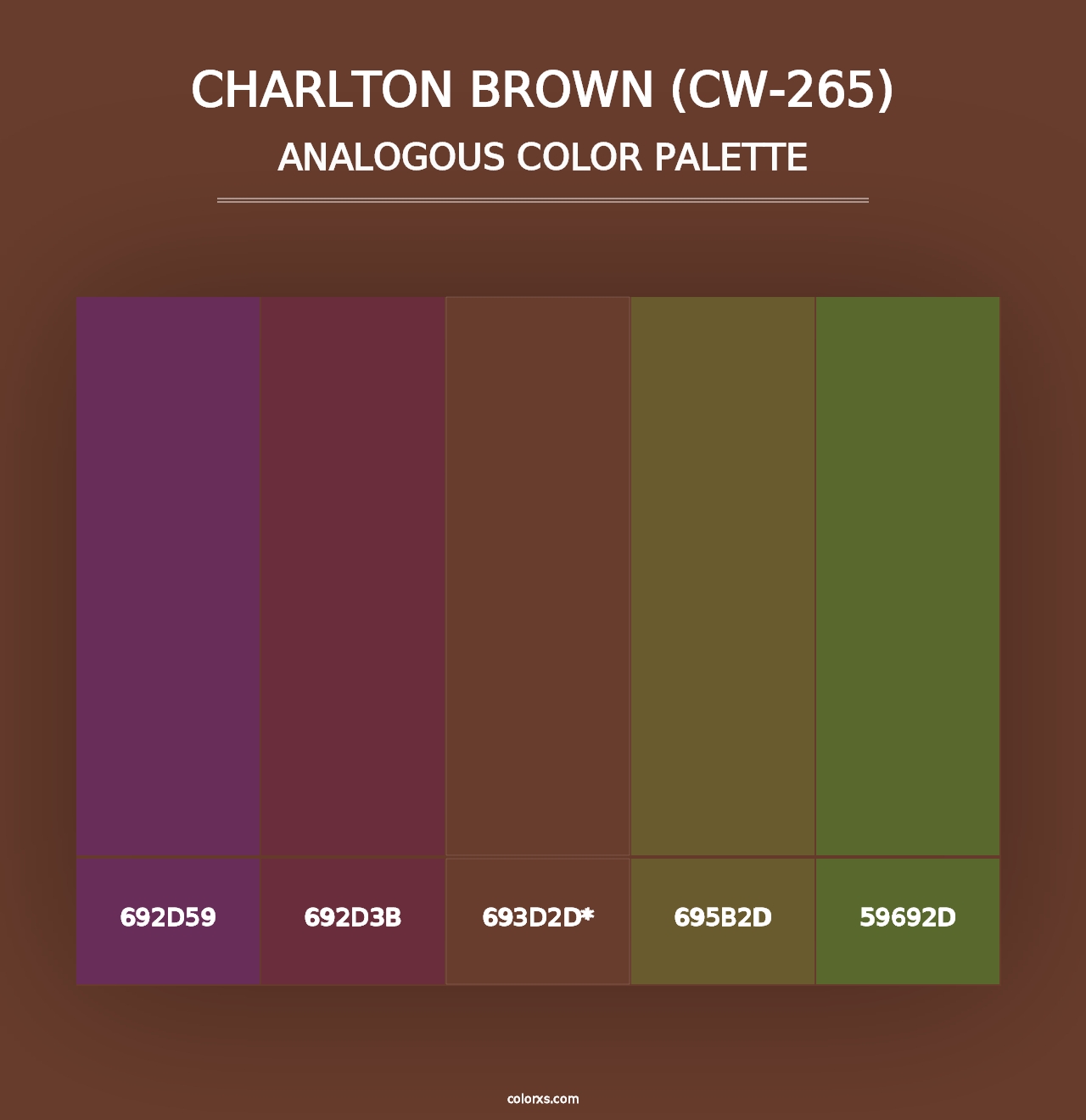 Charlton Brown (CW-265) - Analogous Color Palette