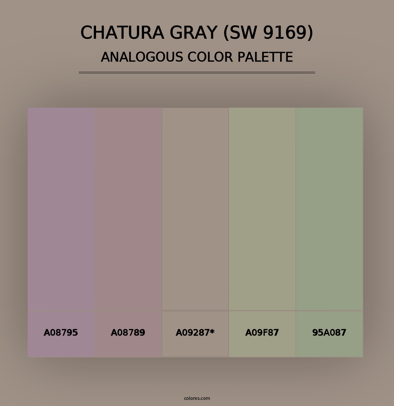 Chatura Gray (SW 9169) - Analogous Color Palette