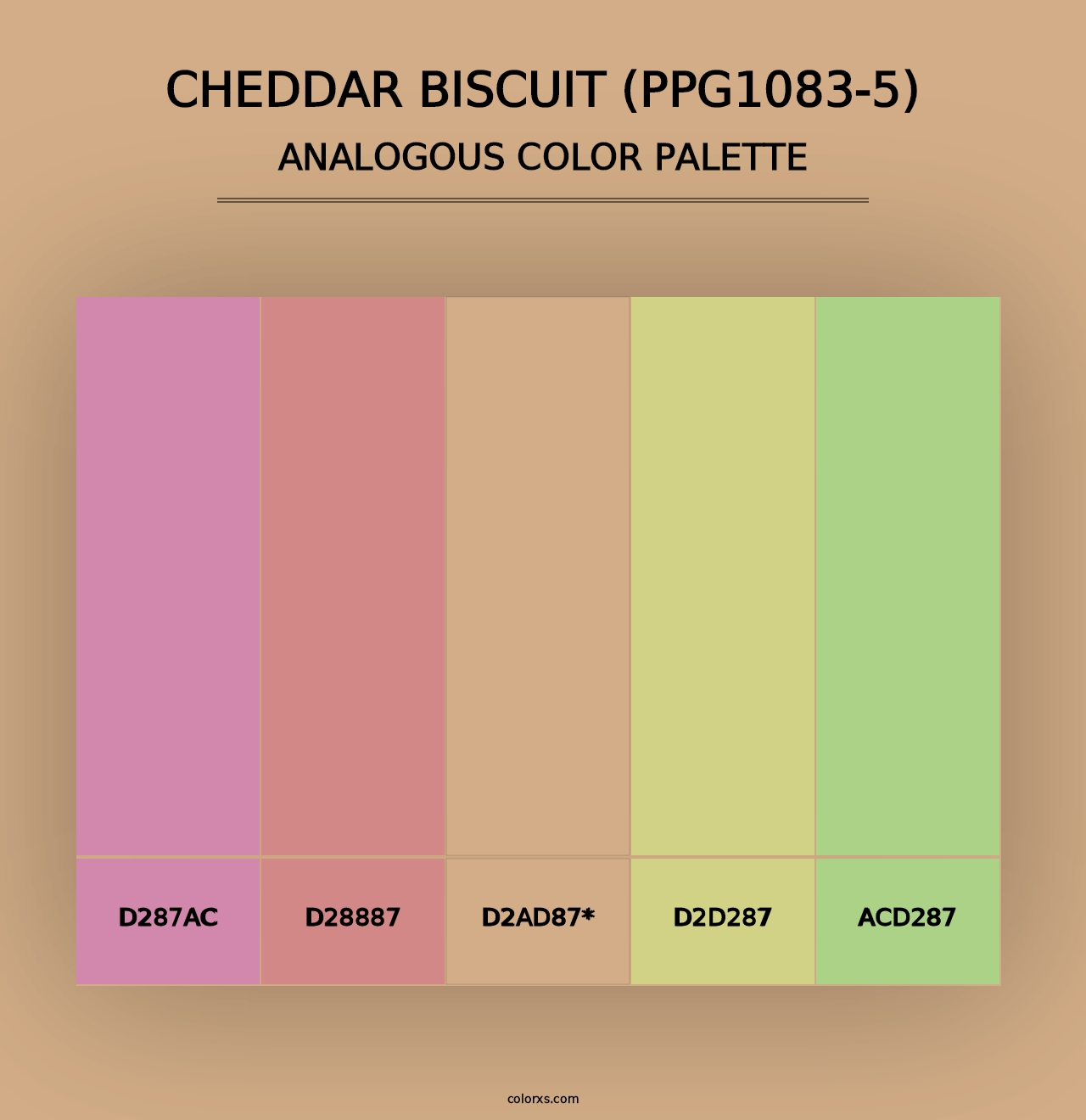 Cheddar Biscuit (PPG1083-5) - Analogous Color Palette