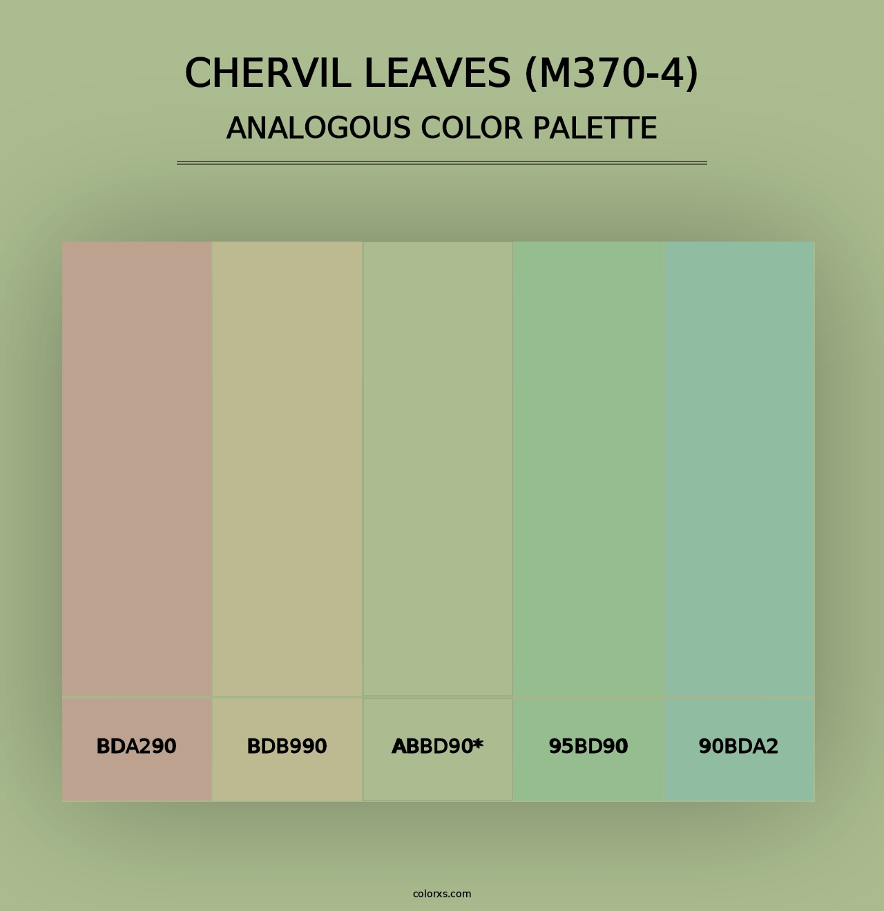 Chervil Leaves (M370-4) - Analogous Color Palette