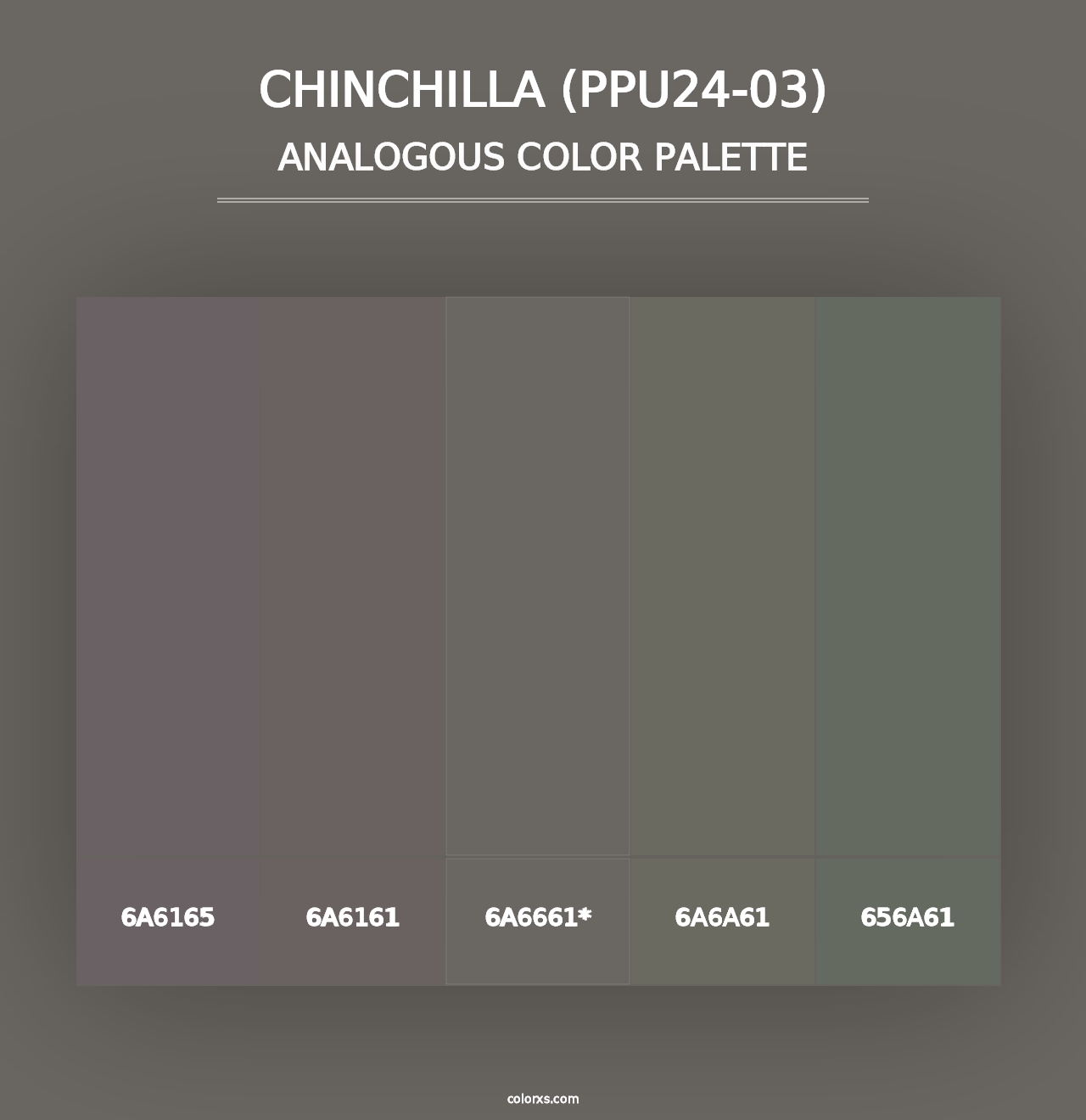 Chinchilla (PPU24-03) - Analogous Color Palette