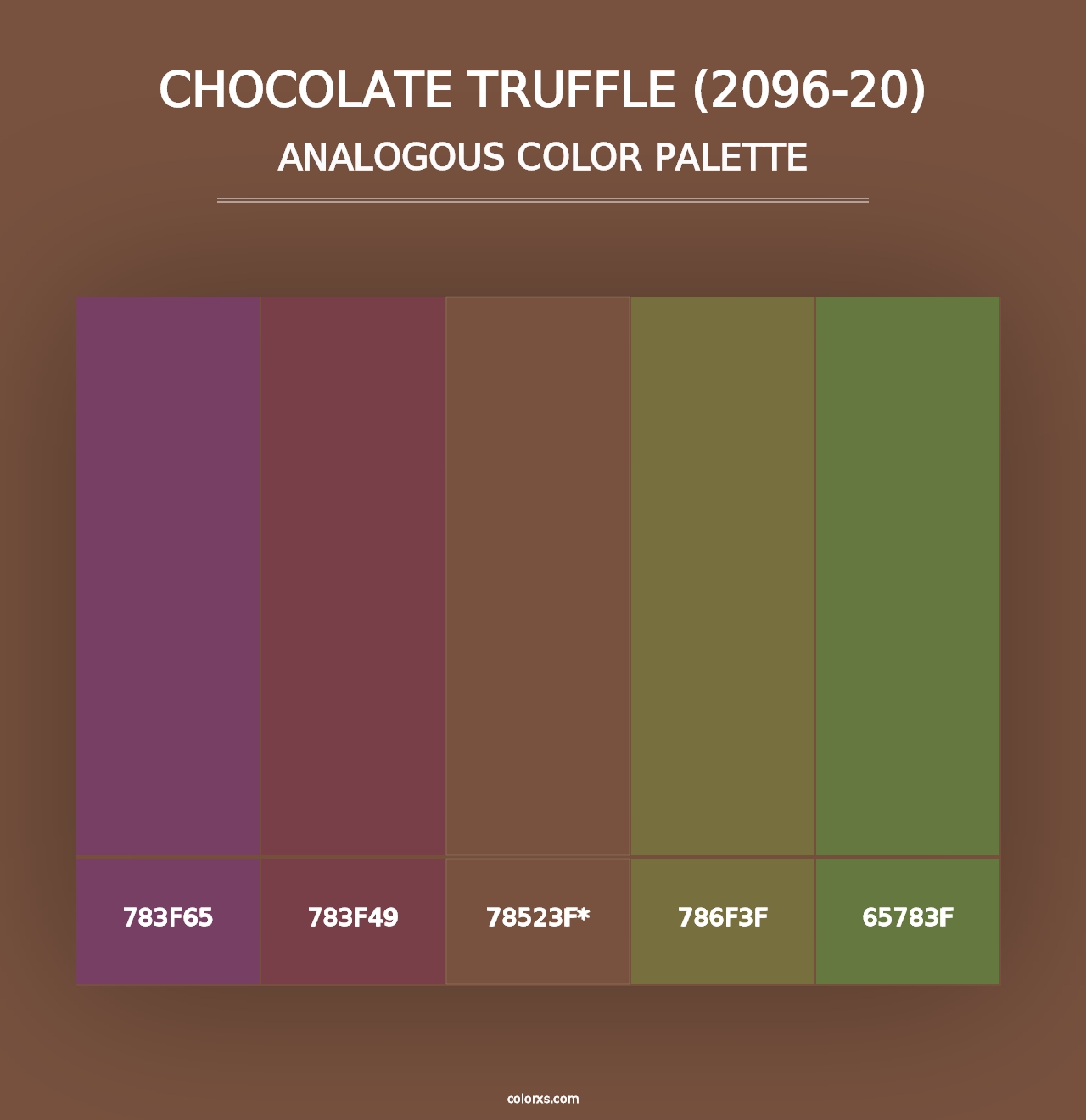 Chocolate Truffle (2096-20) - Analogous Color Palette