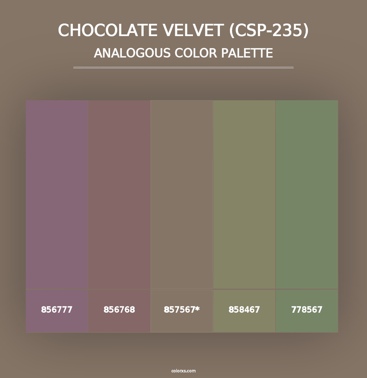 Chocolate Velvet (CSP-235) - Analogous Color Palette