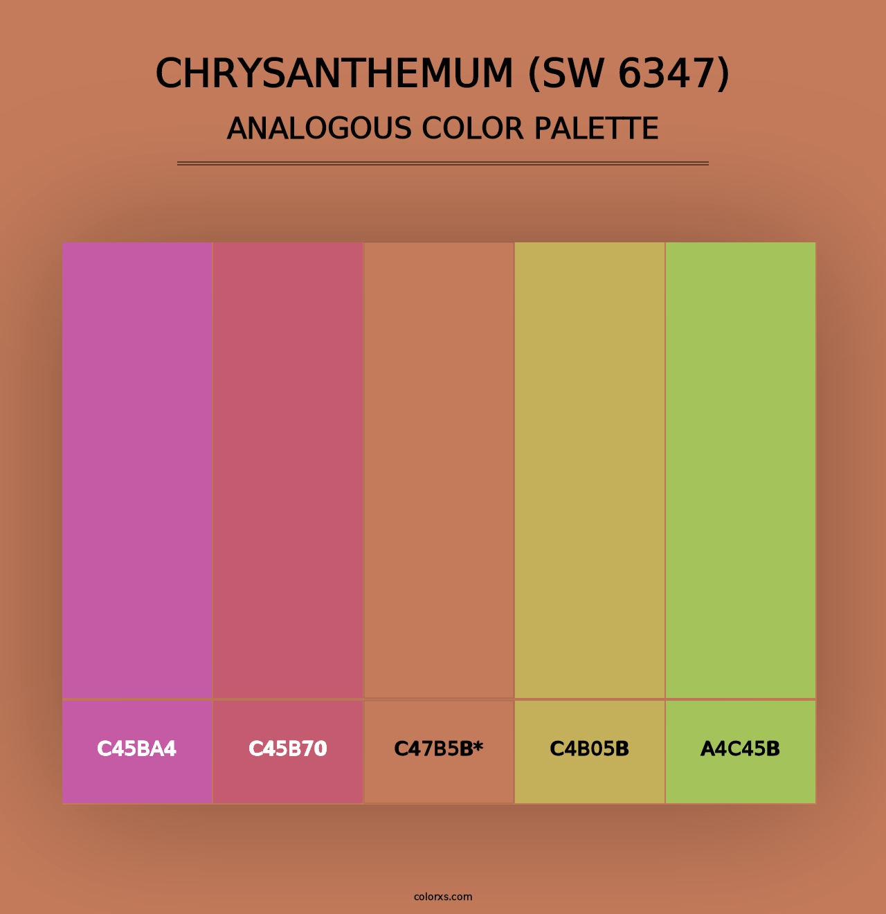 Chrysanthemum (SW 6347) - Analogous Color Palette