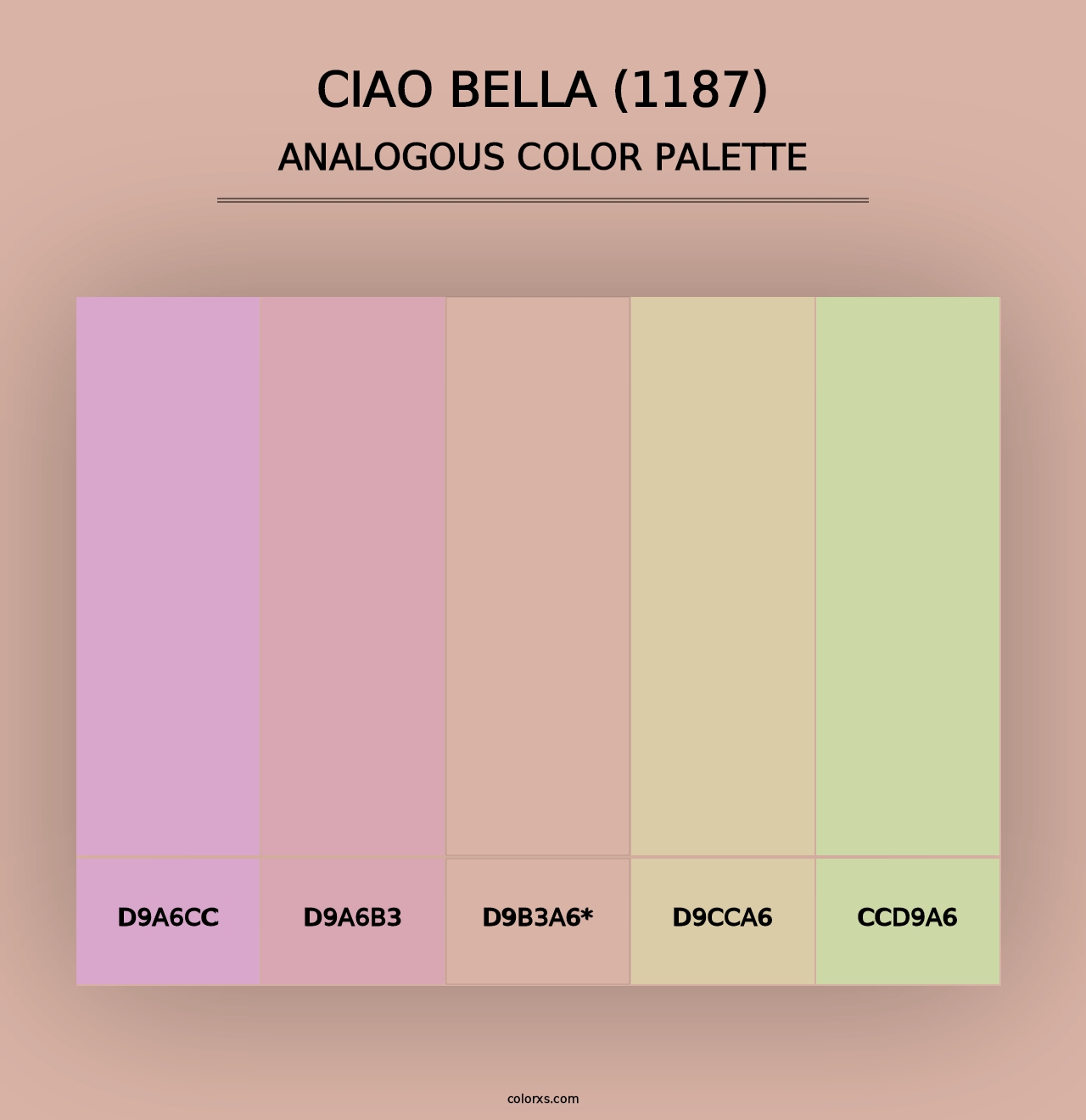 Ciao Bella (1187) - Analogous Color Palette