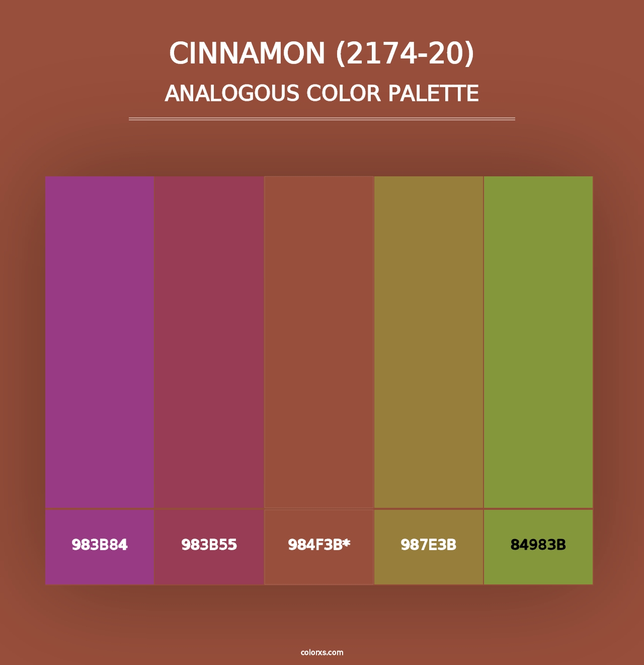 Cinnamon (2174-20) - Analogous Color Palette