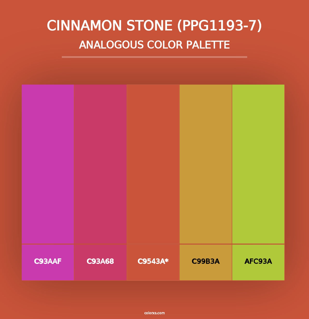 Cinnamon Stone (PPG1193-7) - Analogous Color Palette