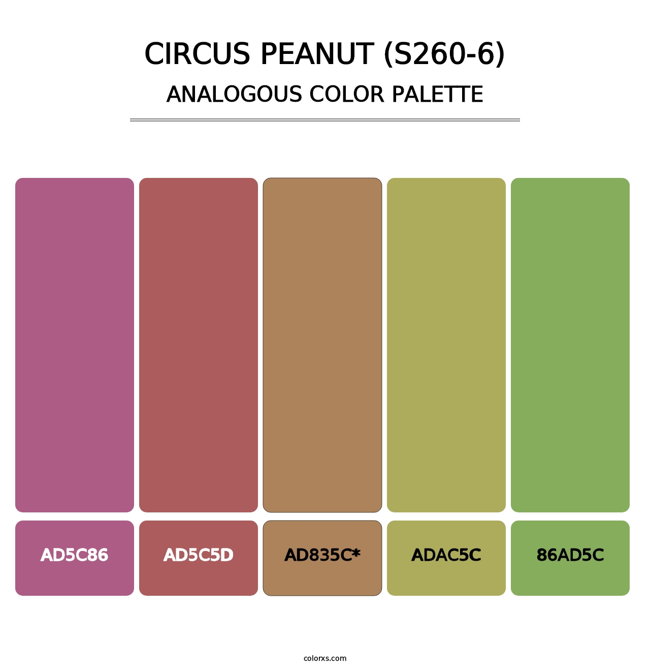 Circus Peanut (S260-6) - Analogous Color Palette