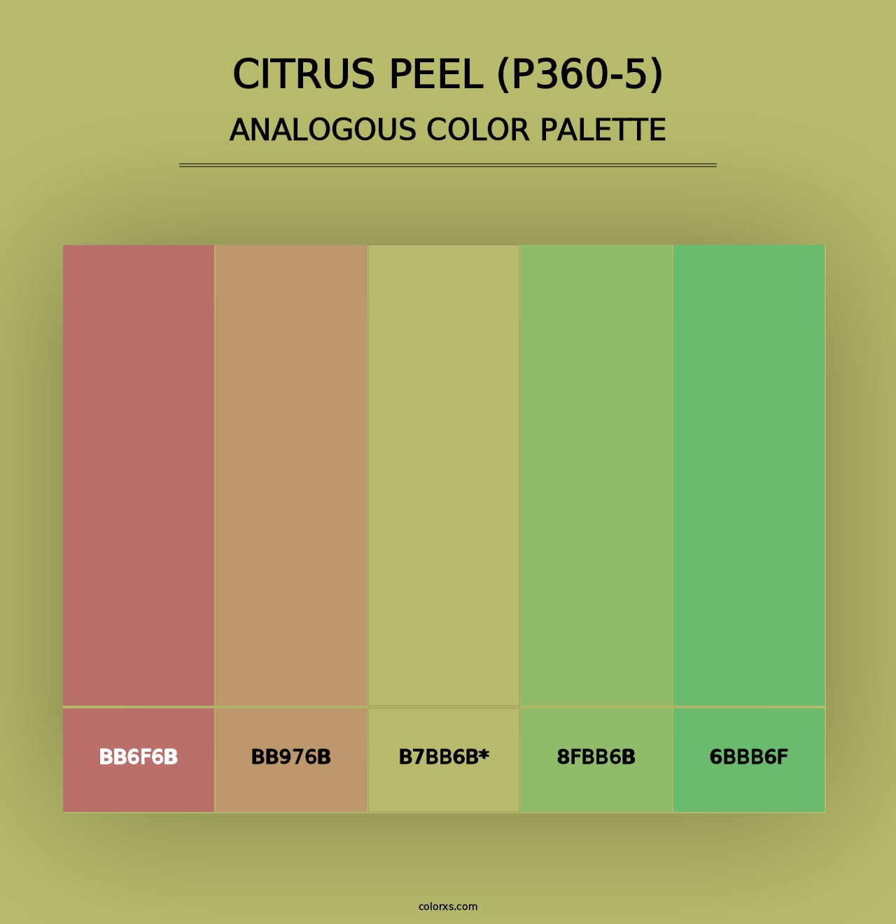 Citrus Peel (P360-5) - Analogous Color Palette