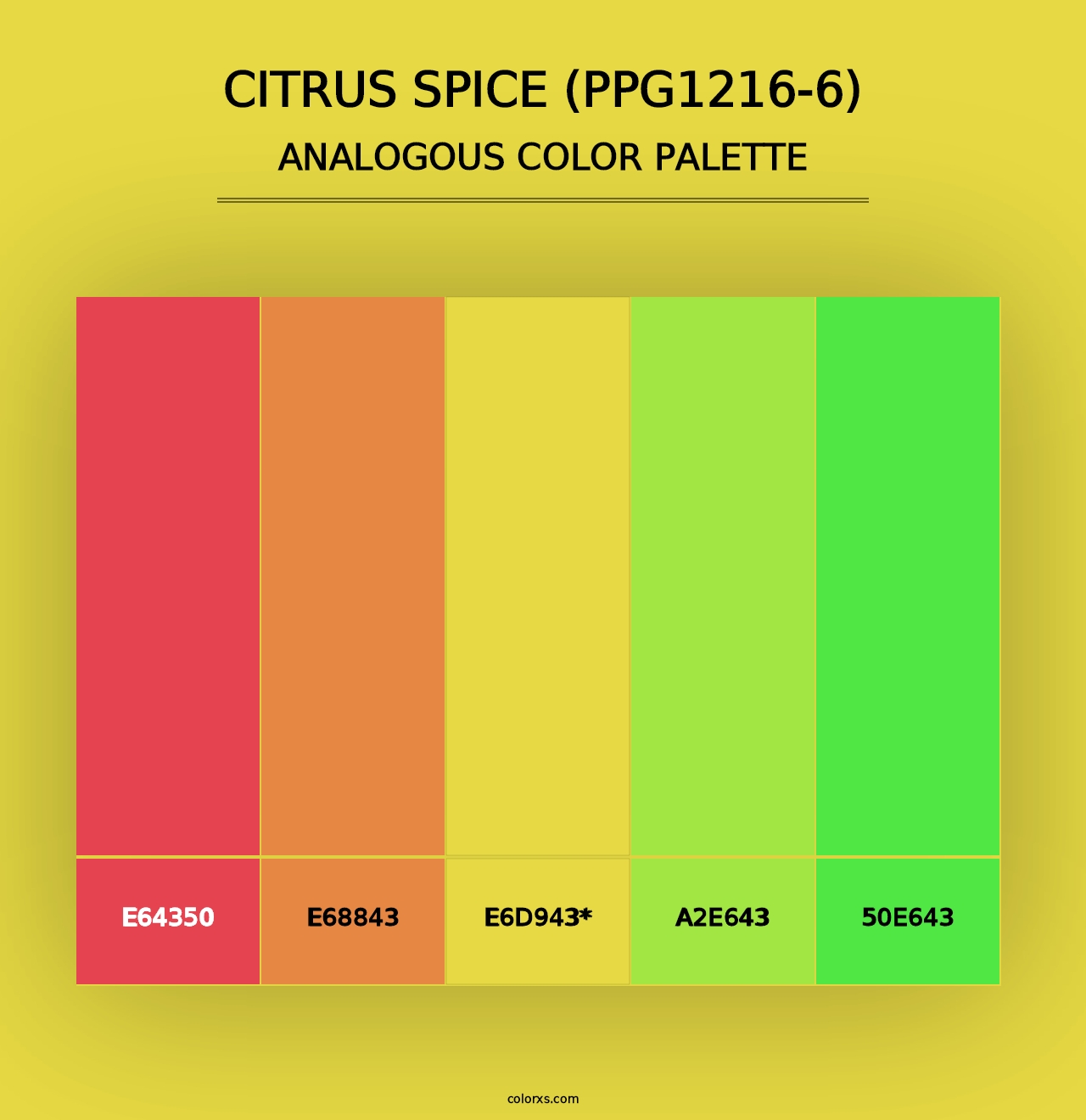 Citrus Spice (PPG1216-6) - Analogous Color Palette