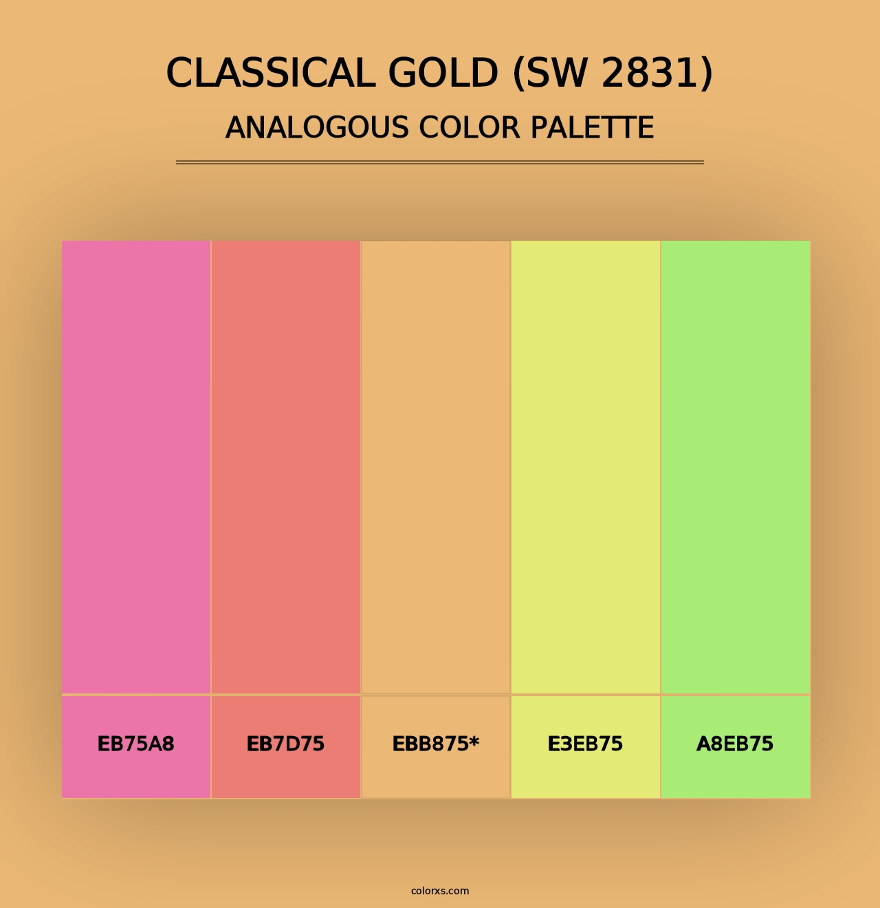 Classical Gold (SW 2831) - Analogous Color Palette