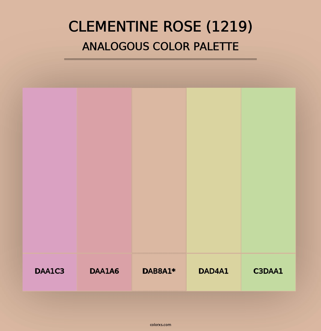 Clementine Rose (1219) - Analogous Color Palette