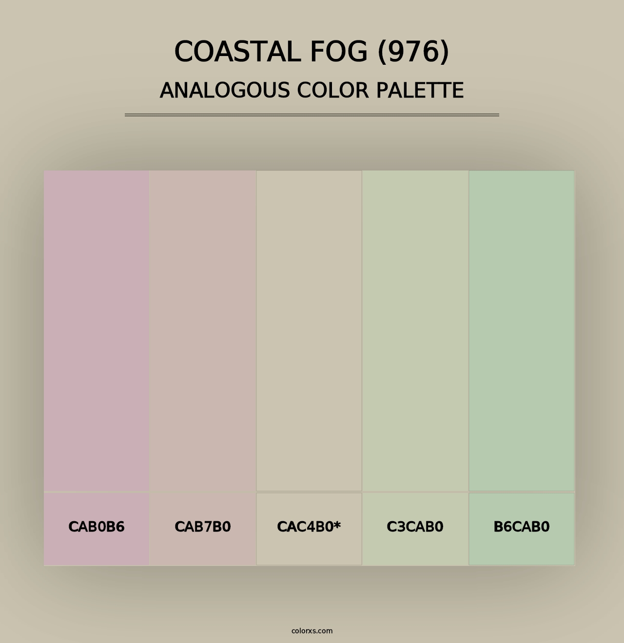 Coastal Fog (976) - Analogous Color Palette