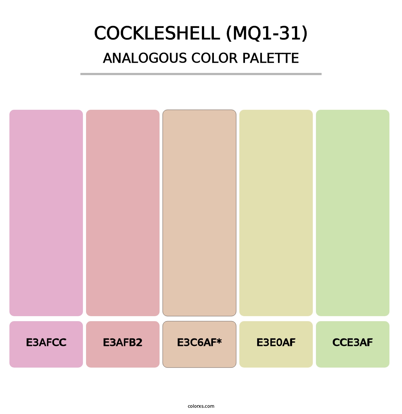 Cockleshell (MQ1-31) - Analogous Color Palette