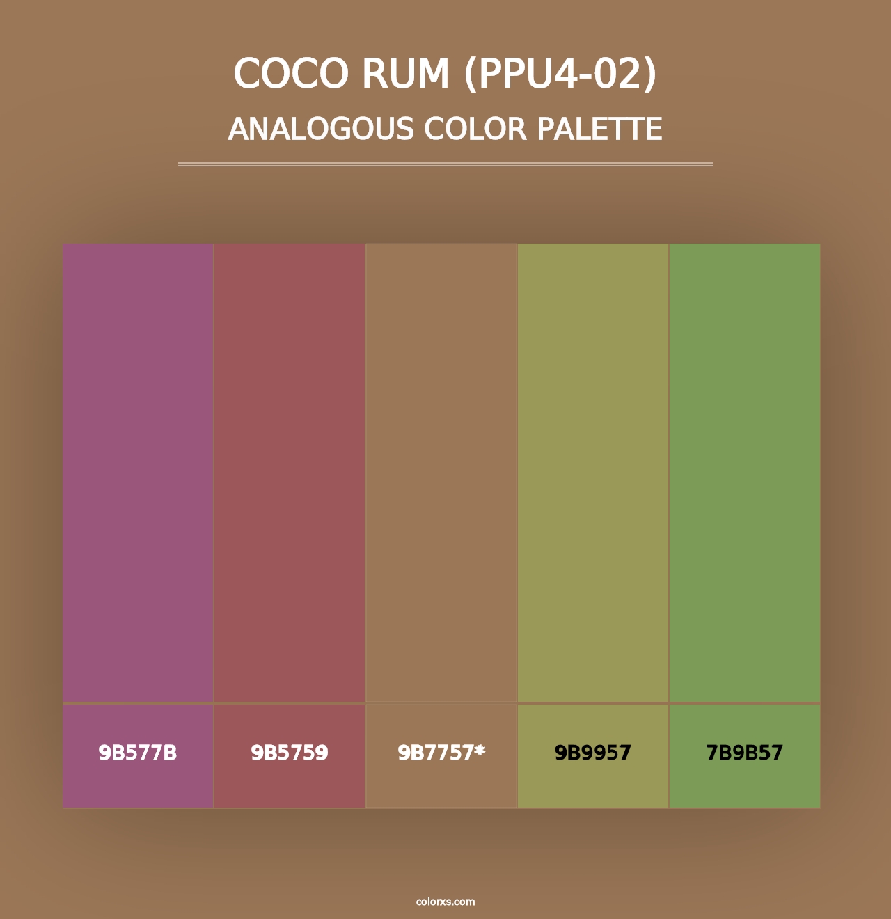 Coco Rum (PPU4-02) - Analogous Color Palette