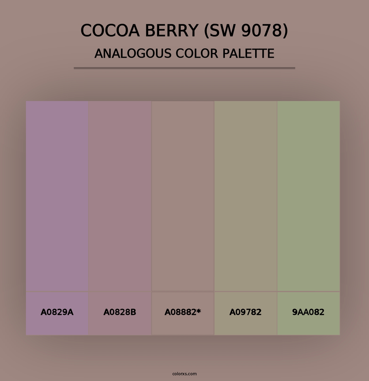 Cocoa Berry (SW 9078) - Analogous Color Palette