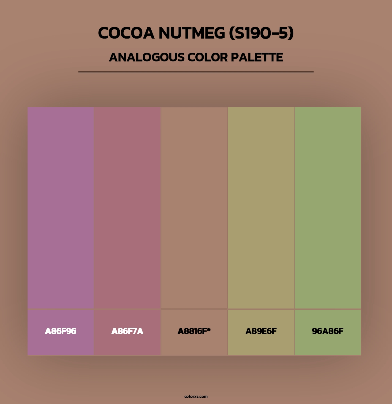 Cocoa Nutmeg (S190-5) - Analogous Color Palette