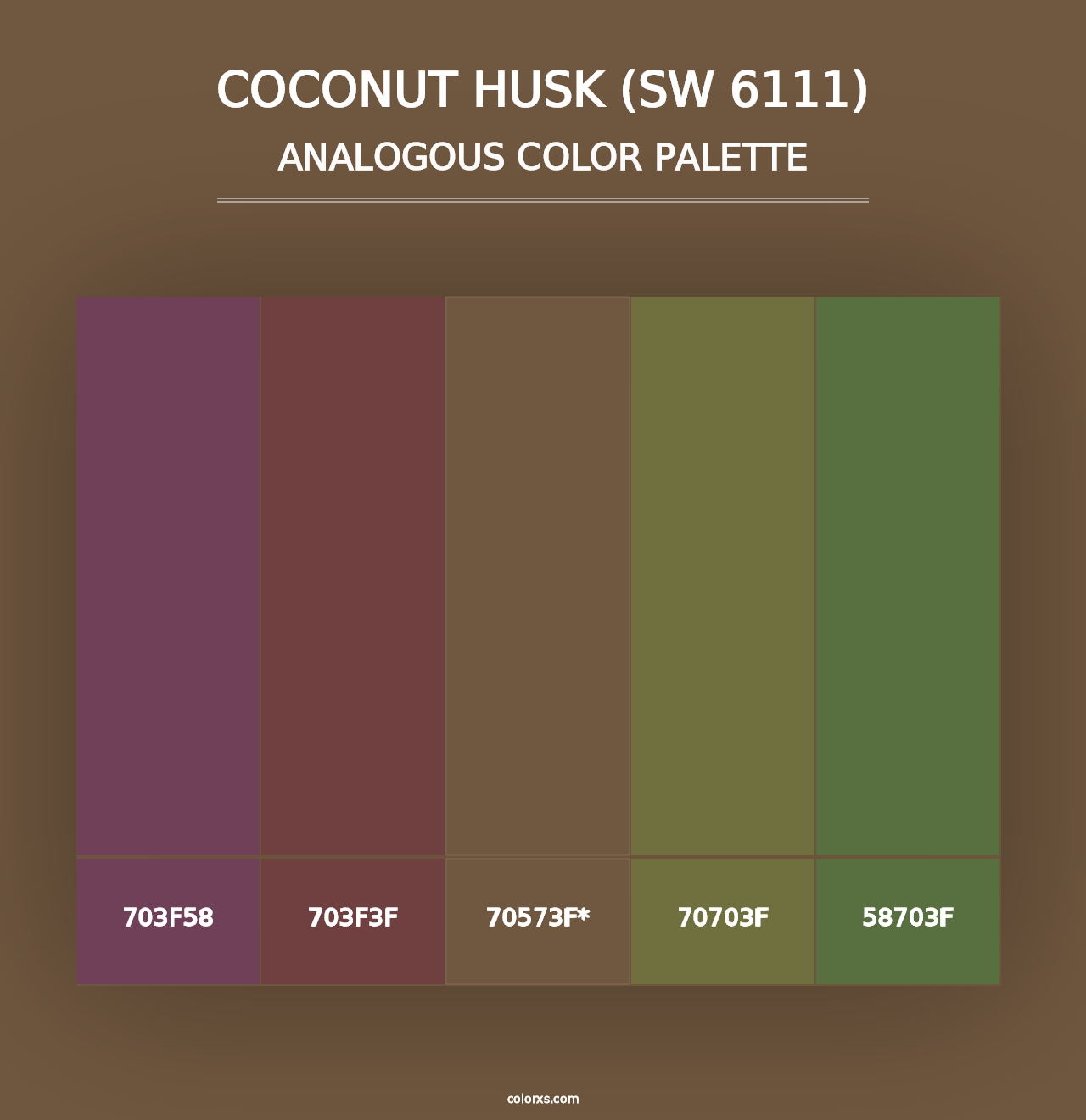 Coconut Husk (SW 6111) - Analogous Color Palette