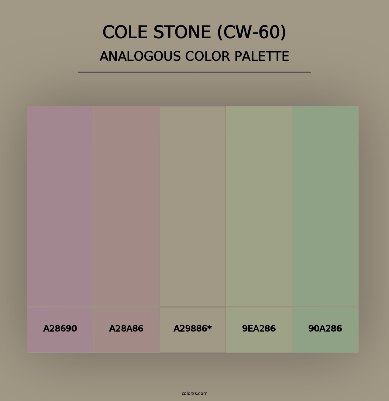 Cole Stone (CW-60) - Analogous Color Palette