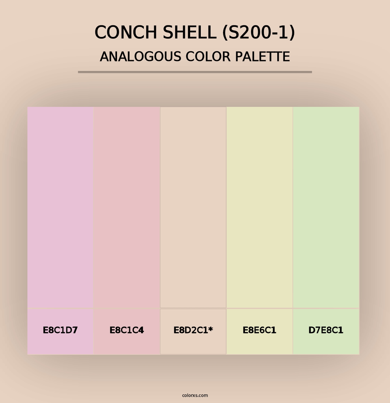 Conch Shell (S200-1) - Analogous Color Palette