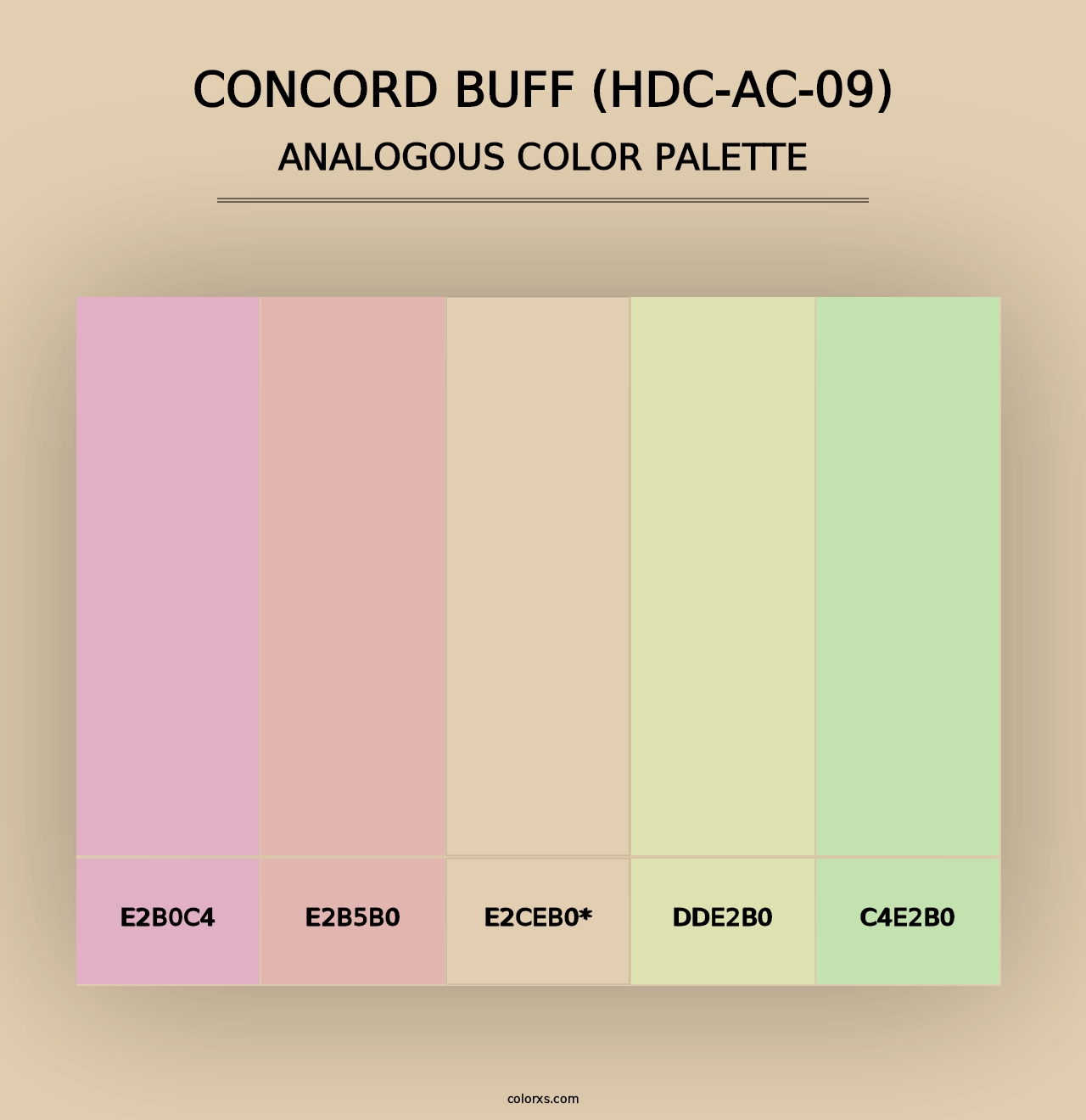 Concord Buff (HDC-AC-09) - Analogous Color Palette