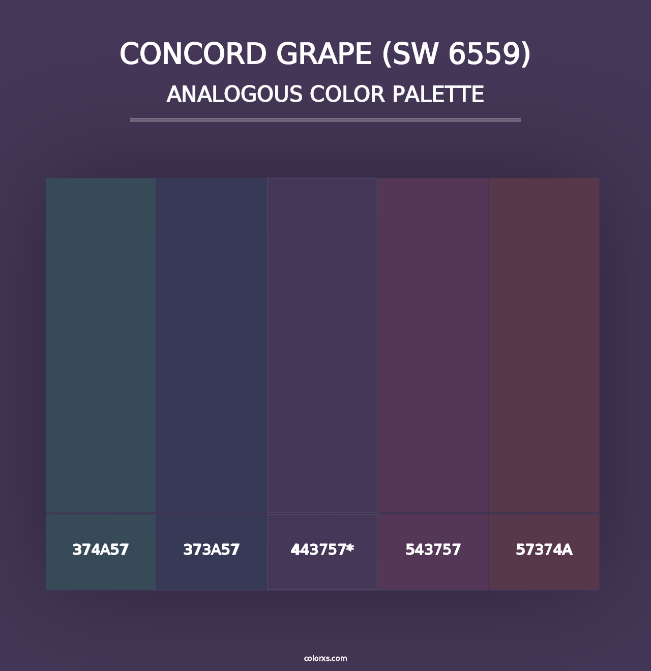 Concord Grape (SW 6559) - Analogous Color Palette