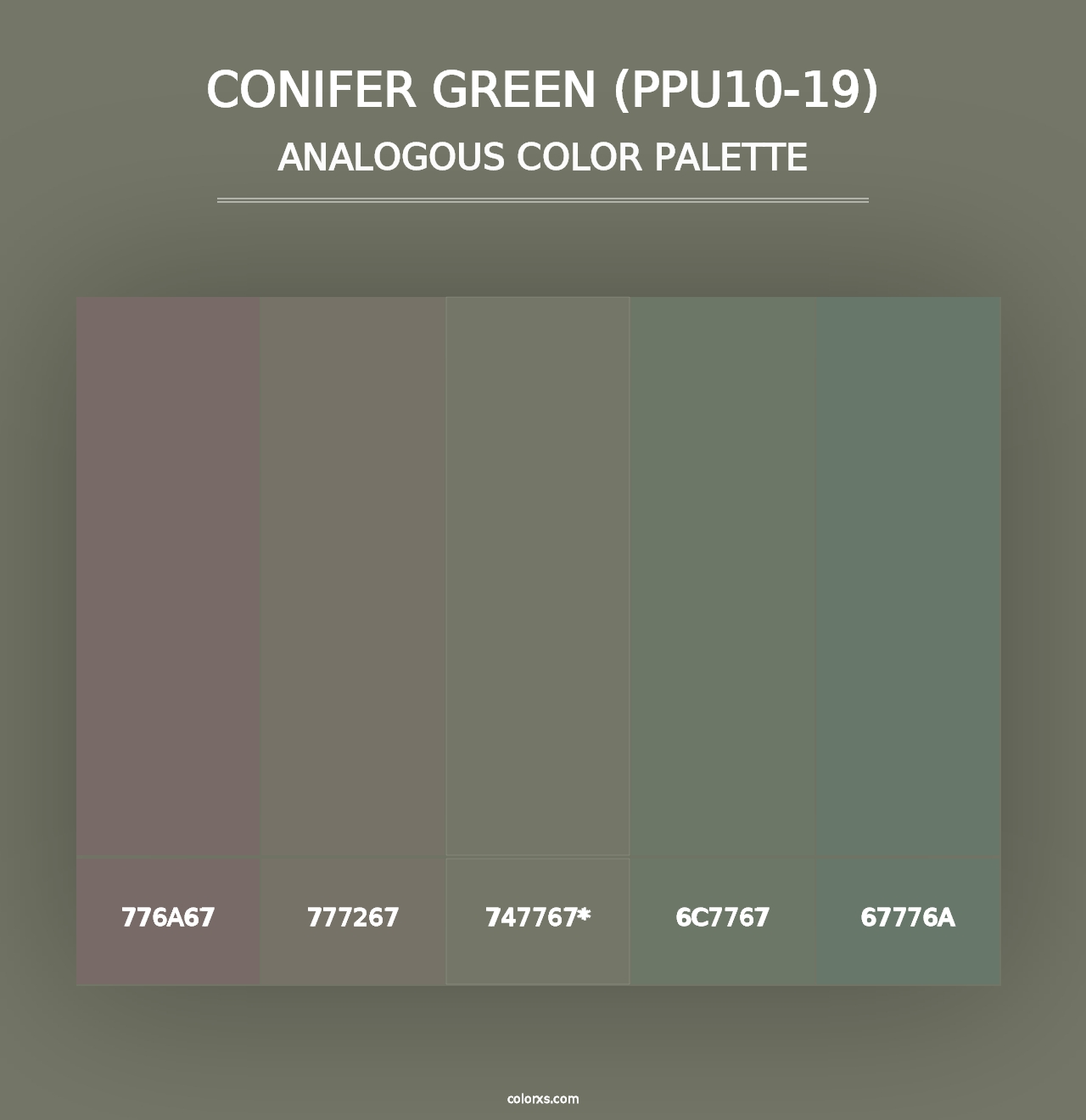 Conifer Green (PPU10-19) - Analogous Color Palette