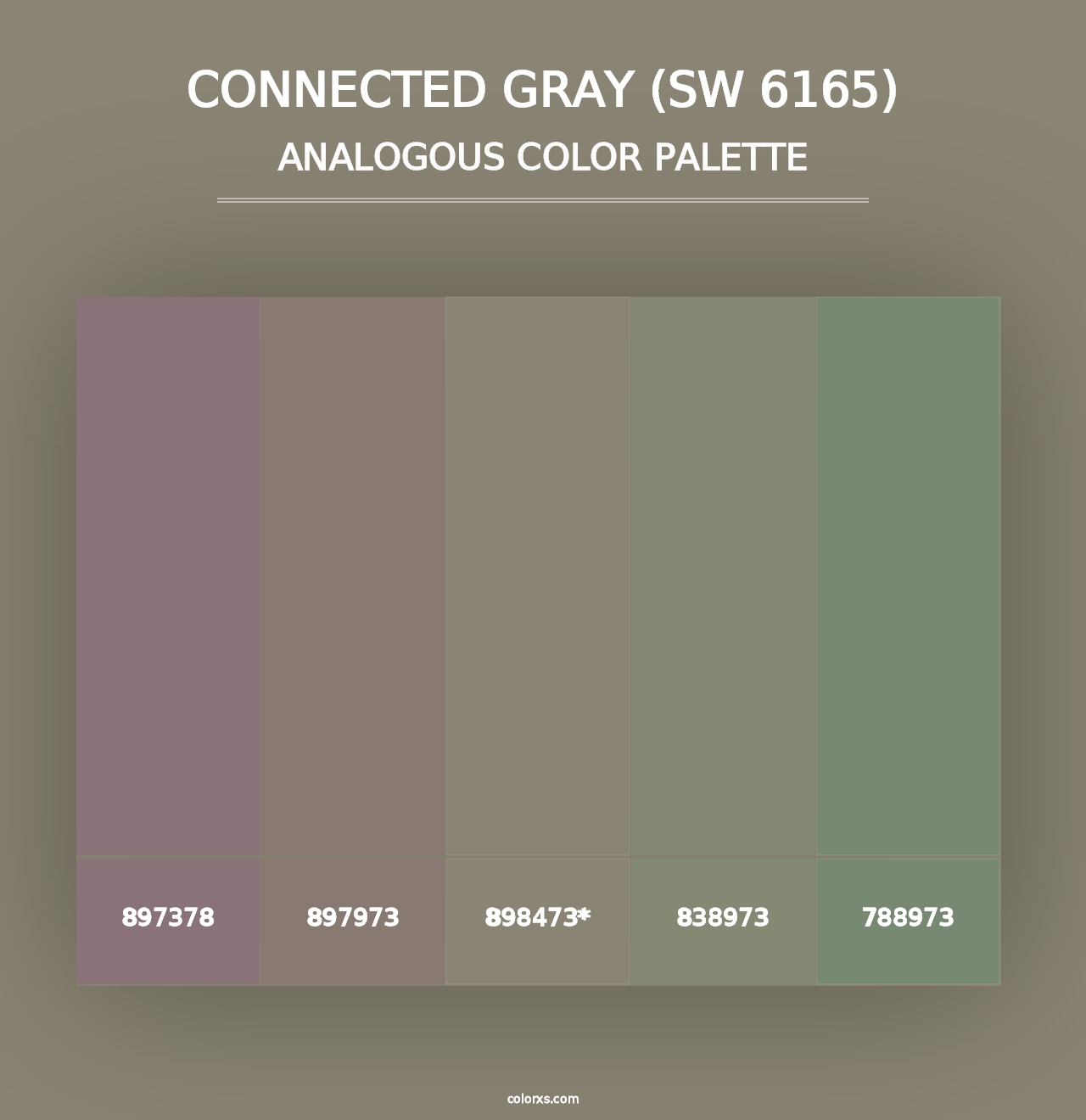 Connected Gray (SW 6165) - Analogous Color Palette