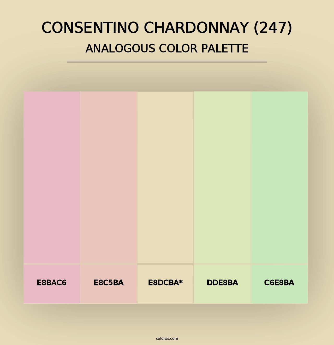 Consentino Chardonnay (247) - Analogous Color Palette