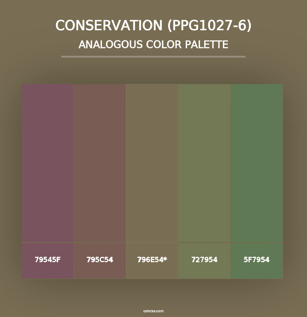 Conservation (PPG1027-6) - Analogous Color Palette