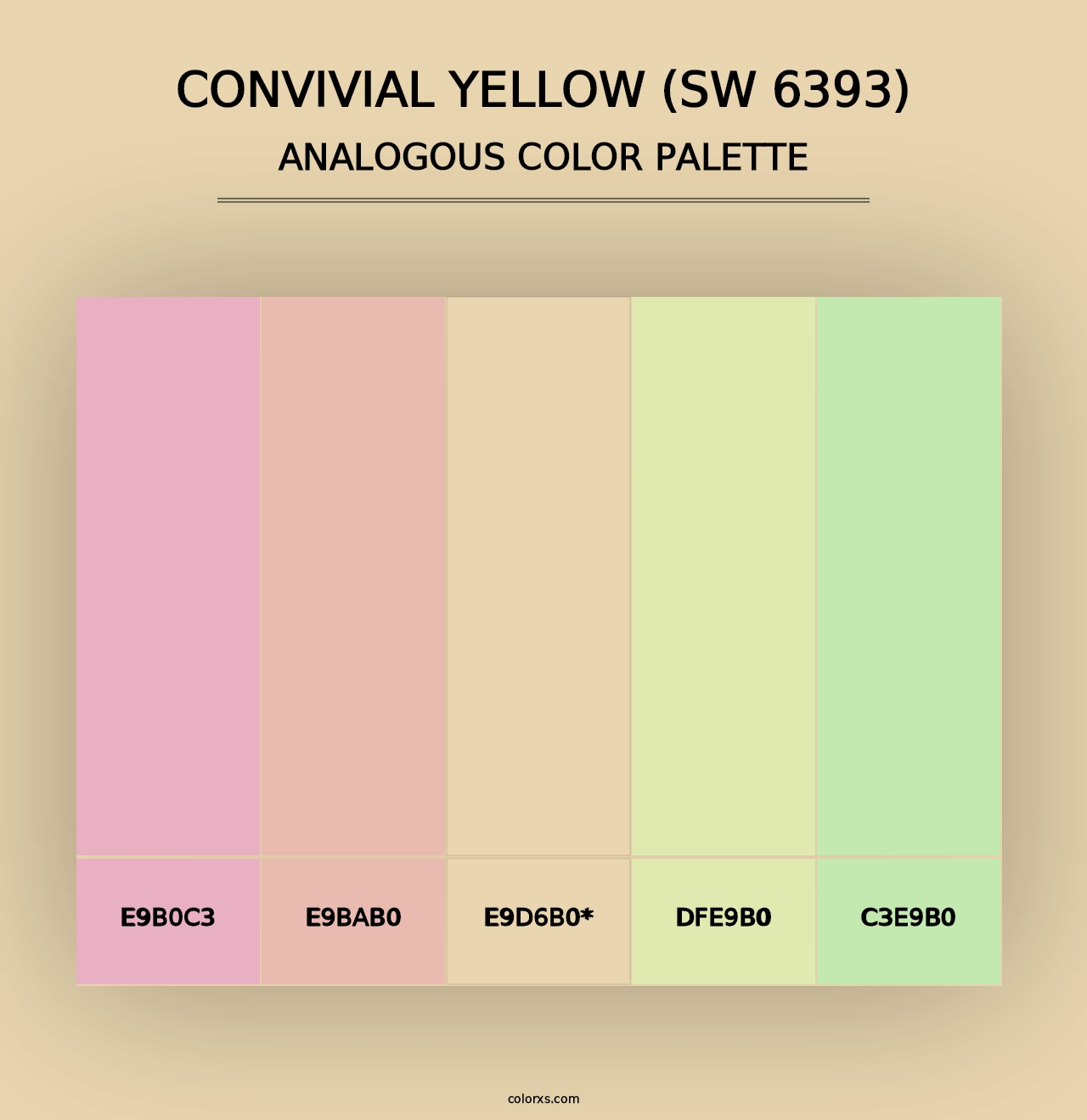 Convivial Yellow (SW 6393) - Analogous Color Palette