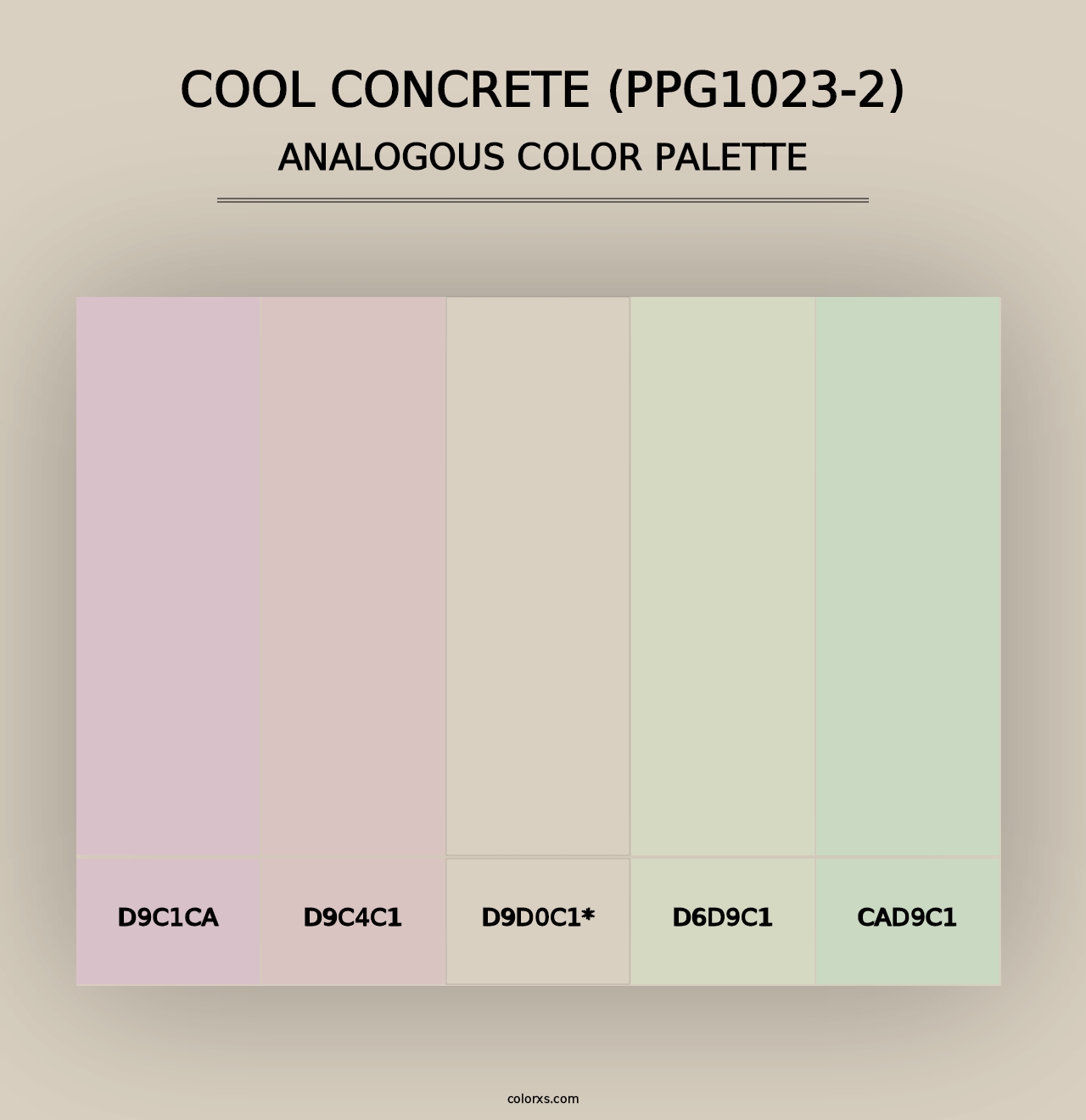 Cool Concrete (PPG1023-2) - Analogous Color Palette