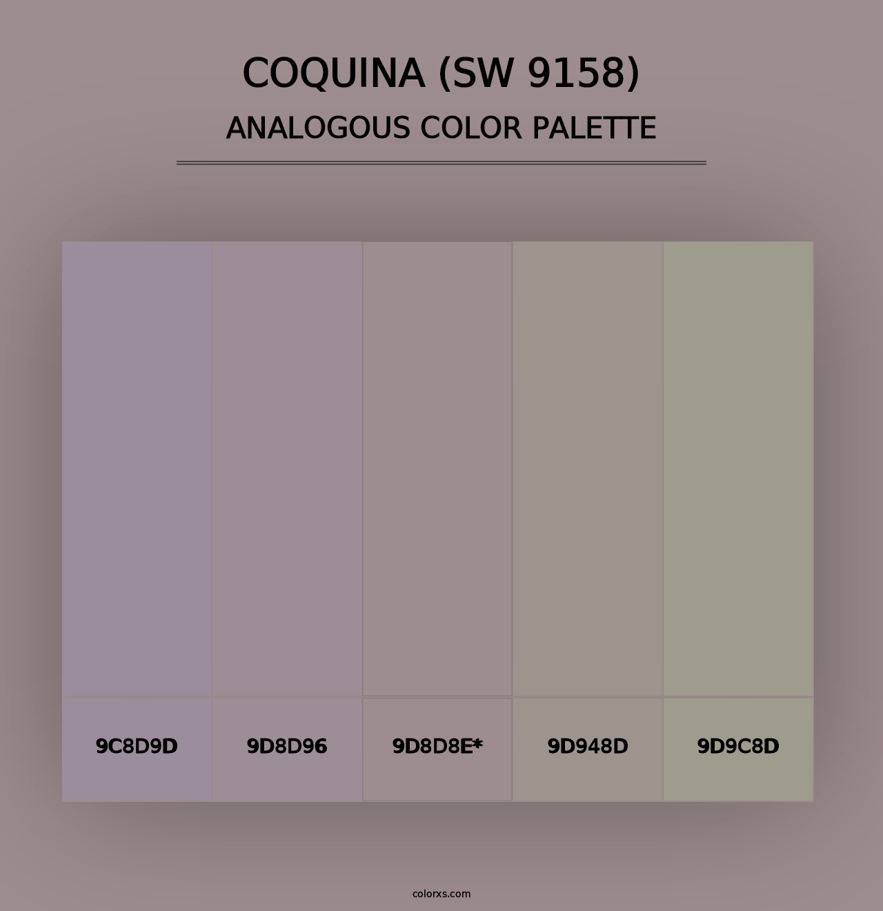 Coquina (SW 9158) - Analogous Color Palette