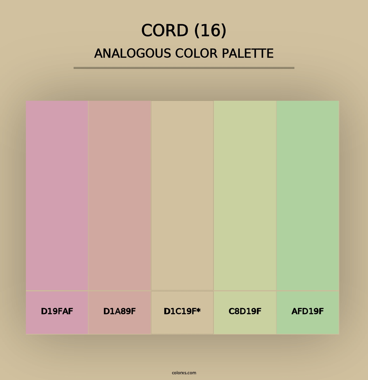 Cord (16) - Analogous Color Palette