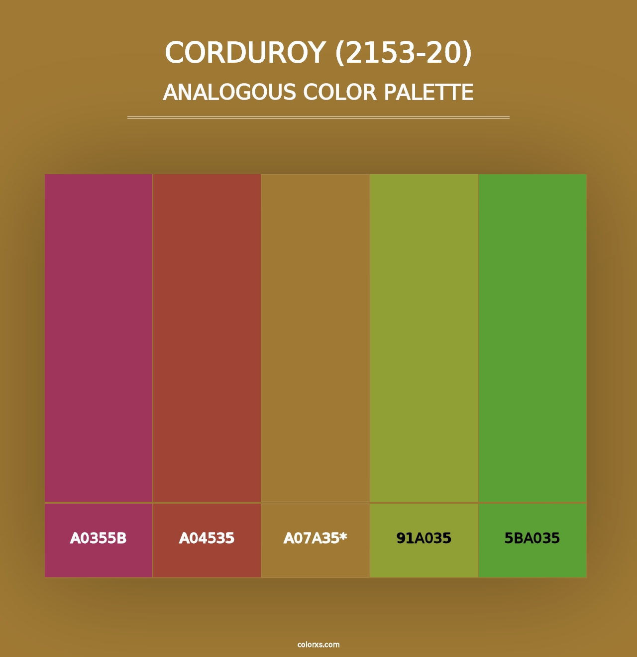 Corduroy (2153-20) - Analogous Color Palette